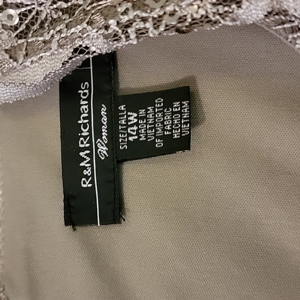 R&M Richards Woman Lace and Sequin Special Occasion Taupe Dress Size 14W - Picture 6 of 9